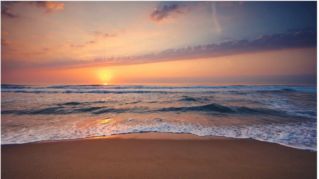 https://img1.wsimg.com/isteam/ip/547fe9ae-e96c-4004-9160-fe0c8bd95eb5/thumbnails/thumbnail-4c032ab7-5f72-4766-80d7-37aee88a9166.png