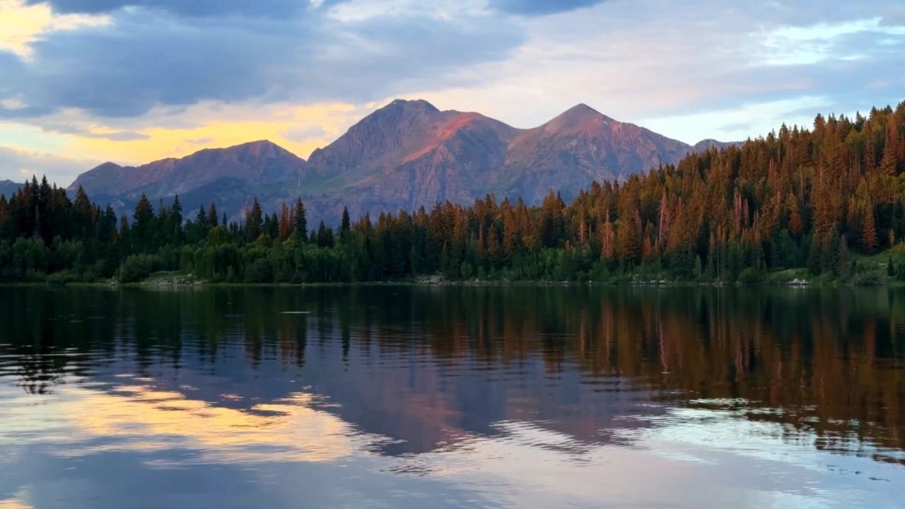 https://img1.wsimg.com/isteam/ip/547fe9ae-e96c-4004-9160-fe0c8bd95eb5/thumbnails/thumbnail-91e4ce37-7d18-4d27-b915-bb546898308c.png