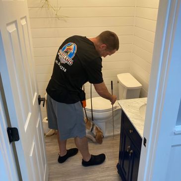mold detection using a mold dog 