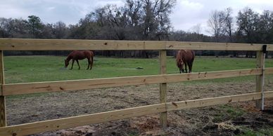 Horse fence in Newberry, FL