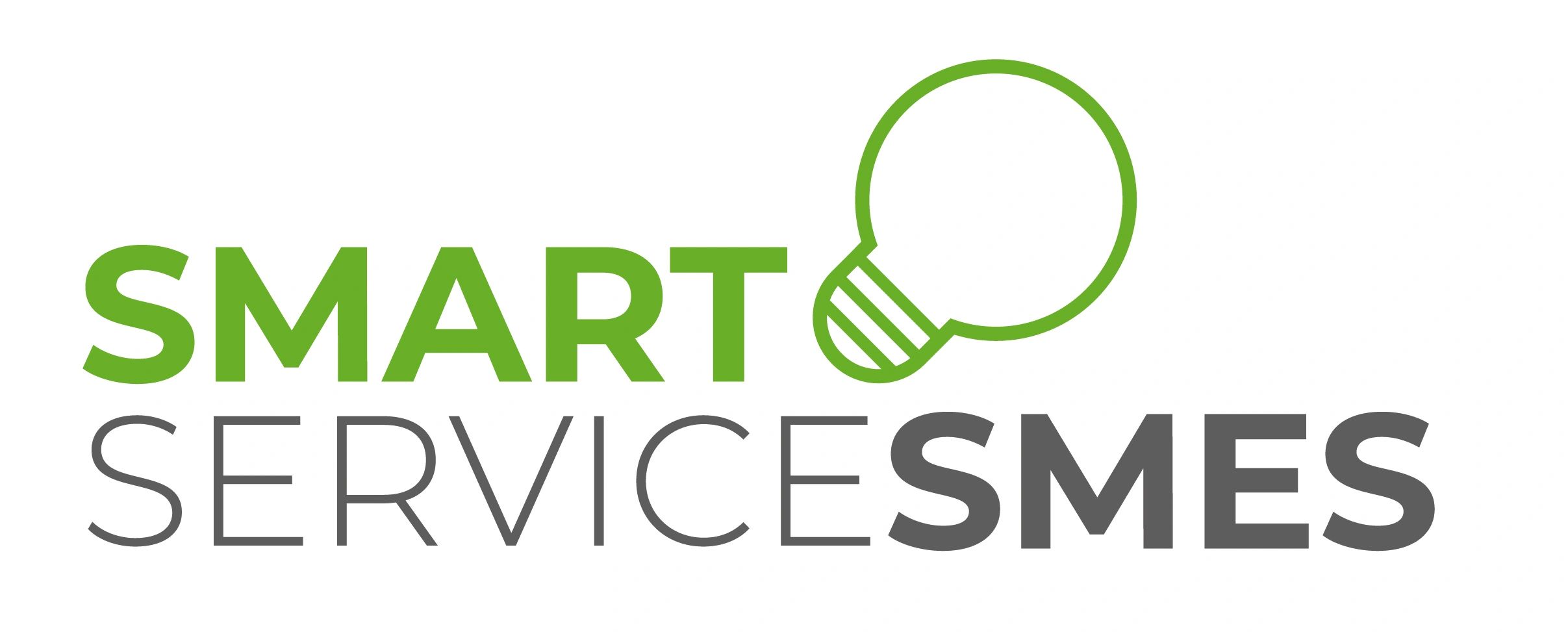 (c) Smart-service.com.mx
