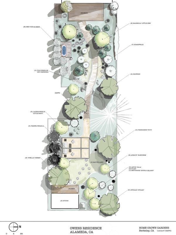 A colored conceptual plan of a garden design.