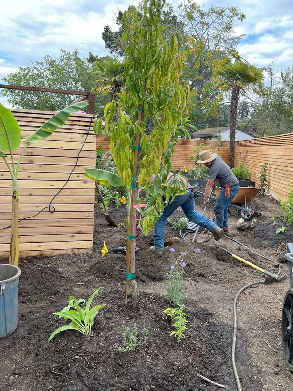 Our crew installing a food forest in Oakland, CA.