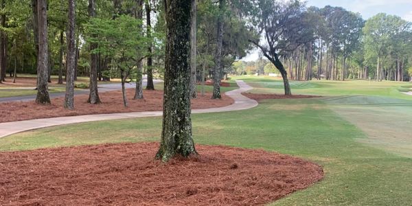 A winding path through a well-maintained golf course surrounded by trees.