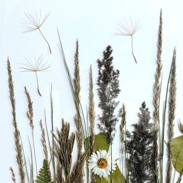 A delicate arrangement of dried flowers and leaves.