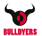 Bulldyers Integrated Solutions pvt ltd