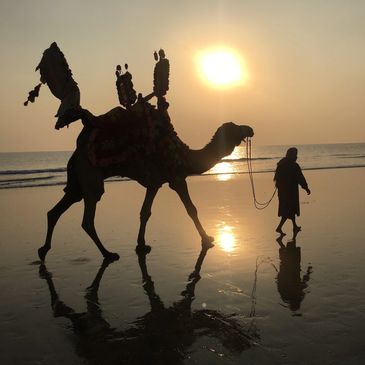 a silhouette of man and camel against a sunset.