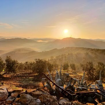 Step into my world of the latest travel and art photography collection, featuring captivating moment
