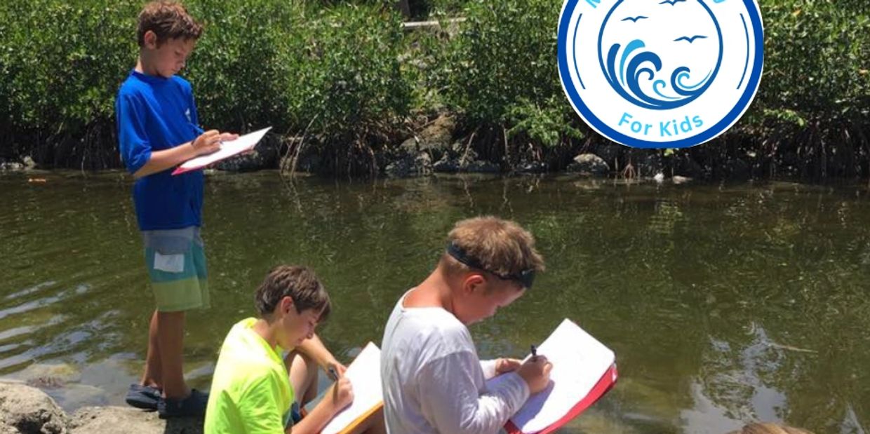 Kids in Jr. Marine Biologist shirts recording field notes at a mangrove shoreline