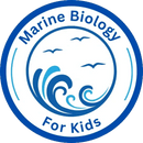 EXPLORE  THE  UNDER WATER WORLD