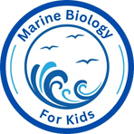 EXPLORE  THE  UNDER WATER WORLD