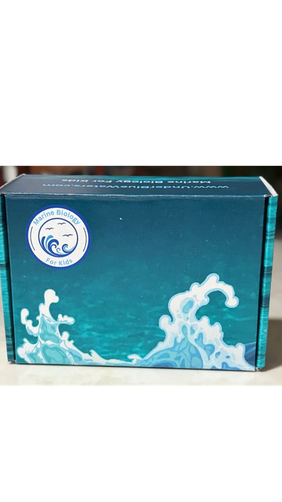 Jr. Marine Biologist Adventure Kit box - free US shipping