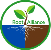 Root Alliance