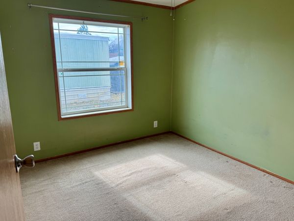 Empty room with green walls and beige carpet under natural light.