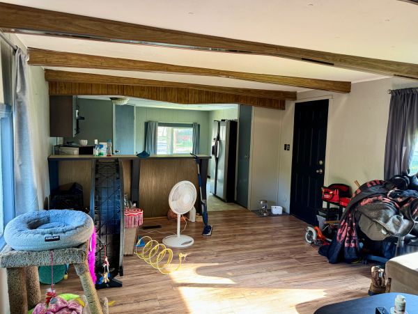 Cozy living space with wooden floors and pet furniture.