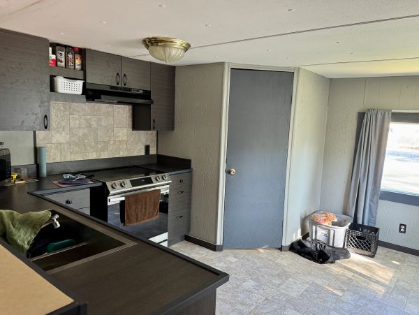 Modern kitchen with black cabinets and gray door.