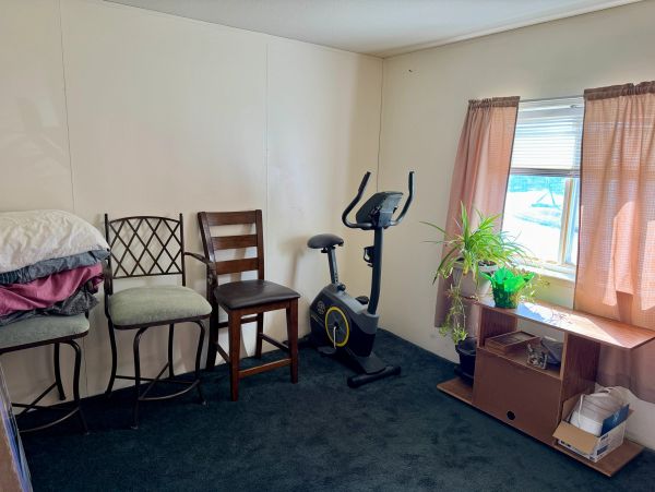 Room with chairs, exercise bike, and window with plants.