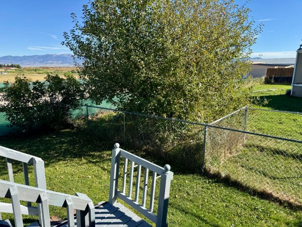 Backyard with stairs, trees, and a chain-link fence on a sunny day.