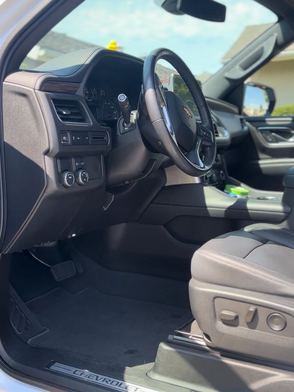 Interior detail with pet hair removal 