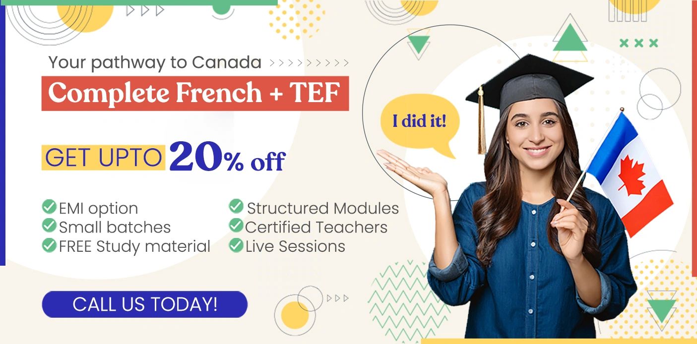 Learn French online 100% | TEF DELF coaching | Online French classes