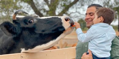Man and child feeding a cow at a farm.