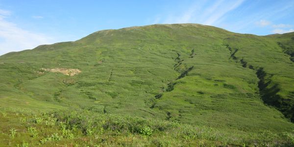 The minimal environmental impact of The Blue Ribbon Mine on Gopher Mountain, Dutch Hills, Alaska.