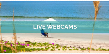 Live webcams