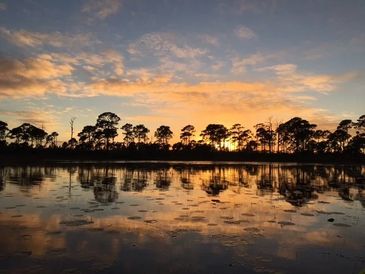 Savannas Preserve State Park protects 