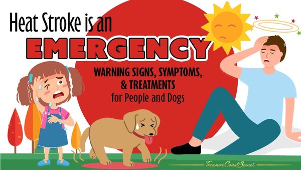 heat Stroke is an emergency