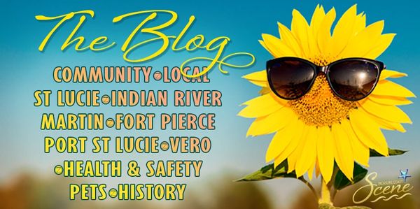 sunflower wearing sunglasses