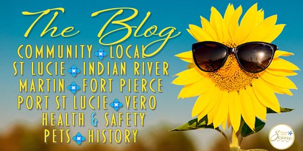 scene blog with sunflower