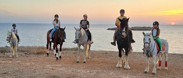 Private Tour - Horse riding in the evening