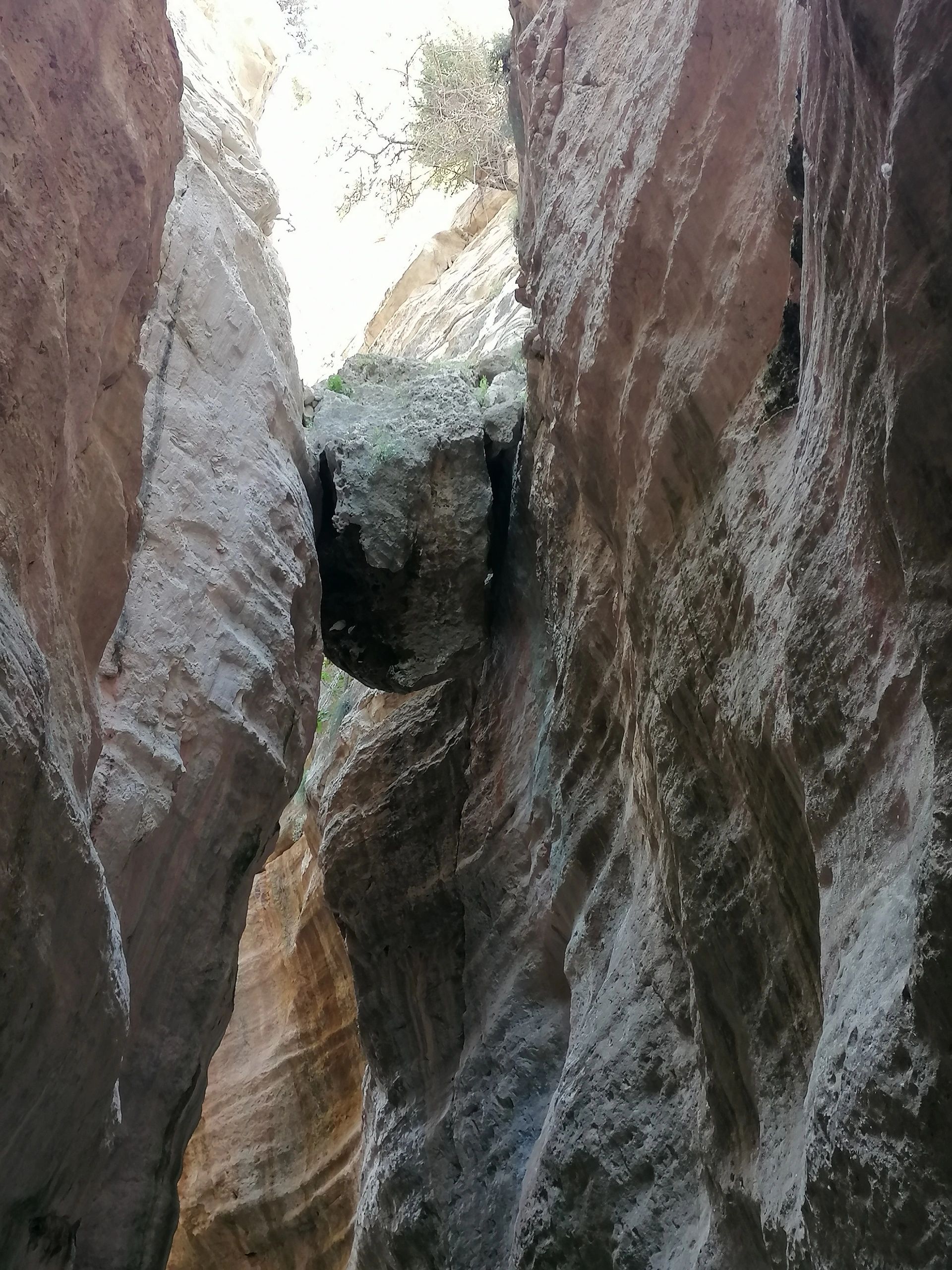 #Avakas Gorge #Akamas Peninsula National Park #Hiking