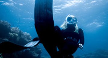 Diver swimming underwater near coral.