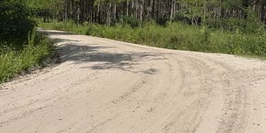 Curved dirt road surrounded by green vegetation and trees.