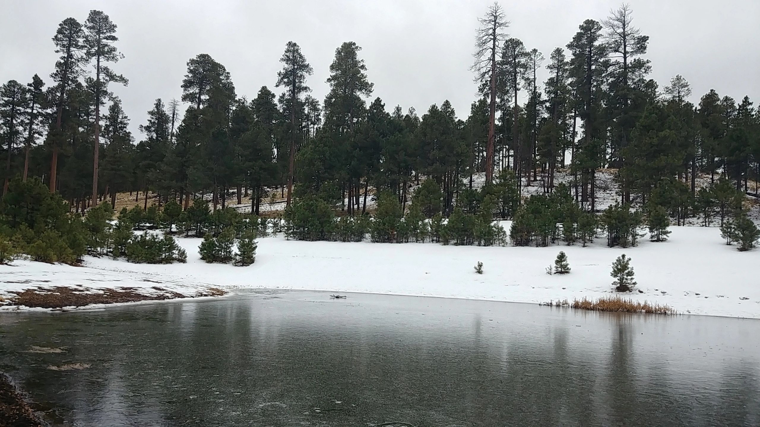 Long Tom Pond