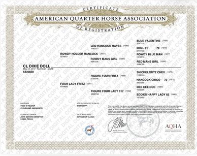 American Quarter Horse Association registration certificate for CL Dixie Doll.