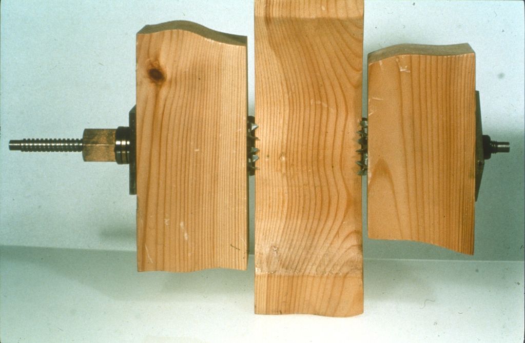 Toothed plate and ring connector joints