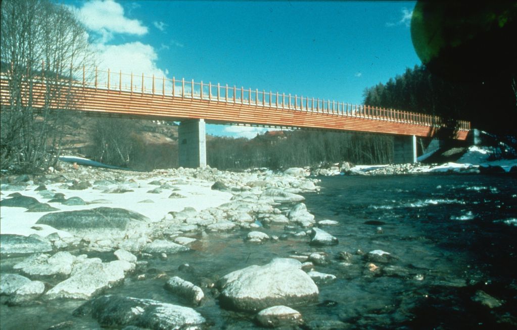 Cross-country bridge, Pradella/Scuol (CH)