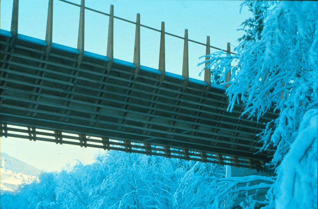 Cross-country bridge, Pradella/Scuol (CH)