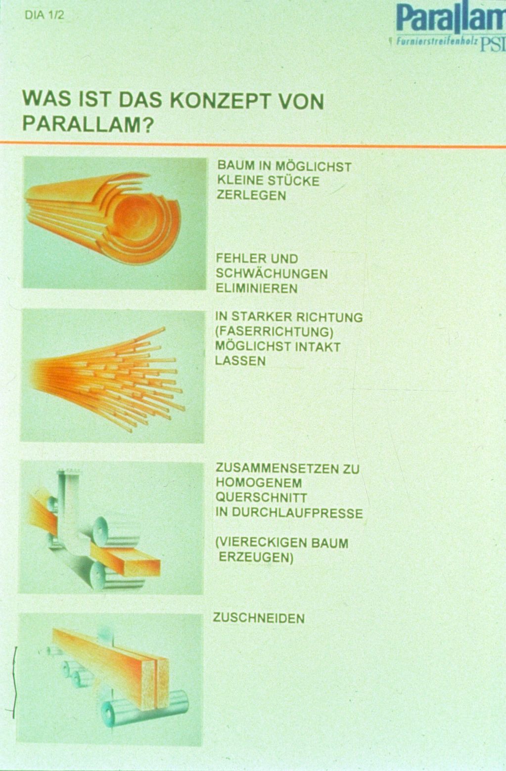 The principle of Parallam production: Veneers are clipped to thin strips and former