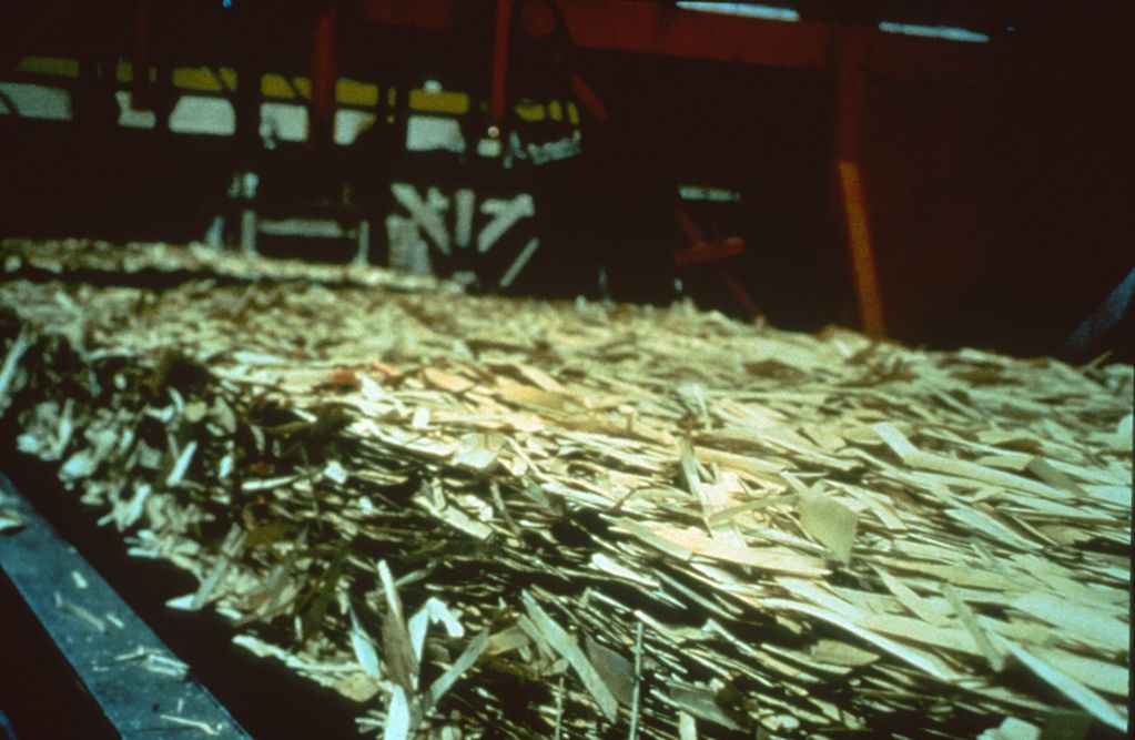 Prior to pressing process, the aligned strands are formed into a mat. This mat is approximately 8 ti