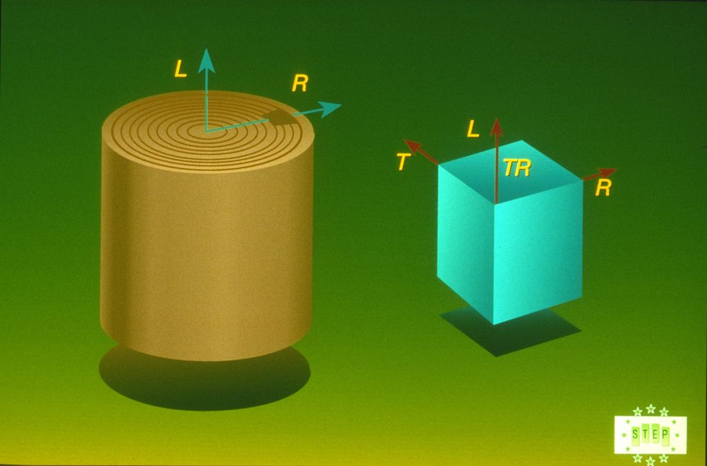 B2-l Principal axes and principal planes in wood. For a small rectangular block taken out from the o