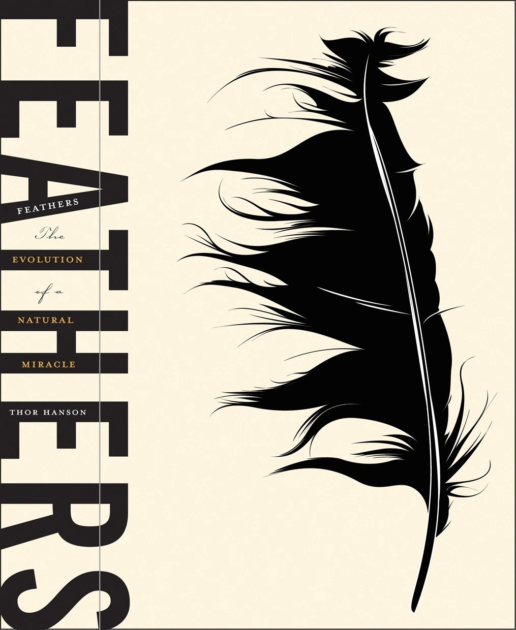 An insider's look at the feather, a marvel of bioengineering