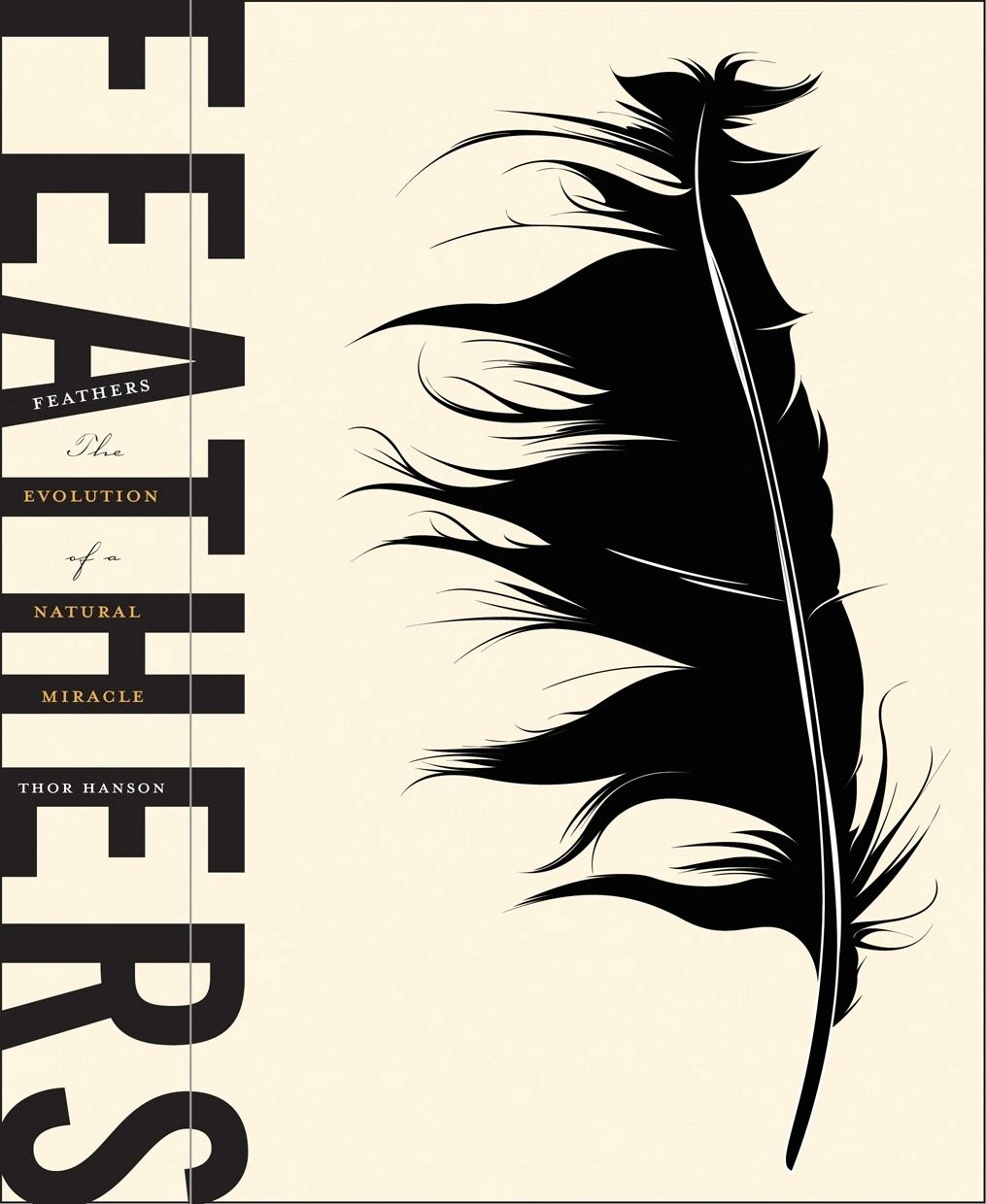 Feathers