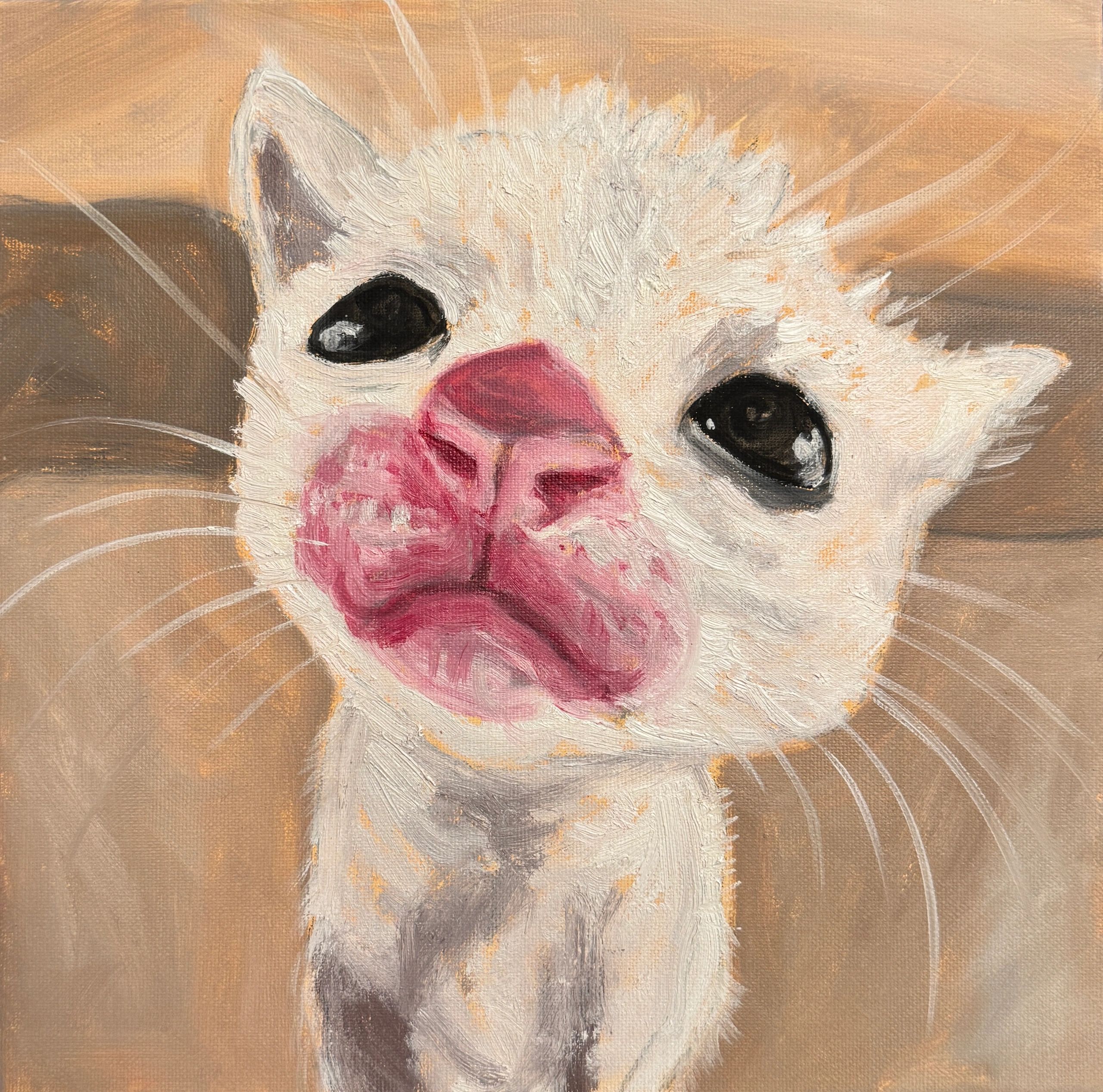 Oil painting of a white cat with big eyes and big nose. 12"x12