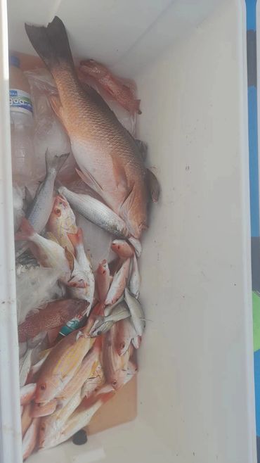 Great big cooler filled with your catch