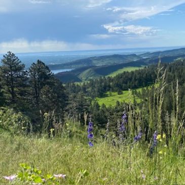 View from a trail in the northern Colorado foothills.