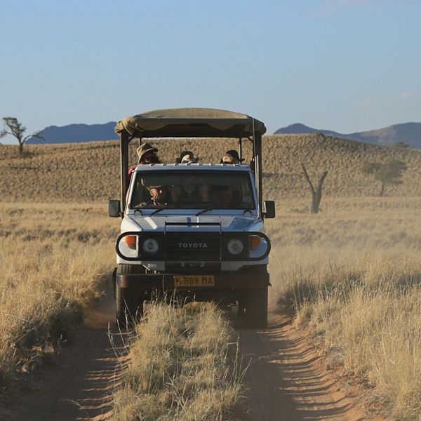 Safari vehicle driving through dry grasslands under clear blue sky.