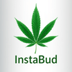 Instabud